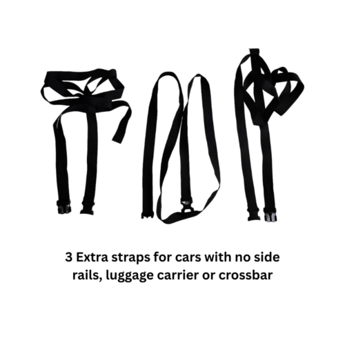 CargoKing Car Rooftop Luggage Bag