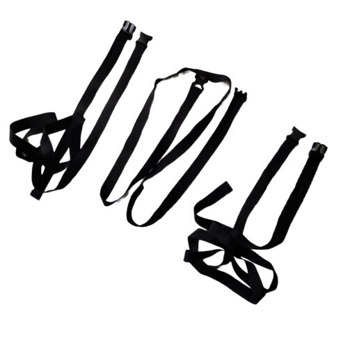 CargoKing Car Rooftop Luggage Bag